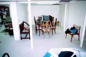 Basement Remodel Project - Farmington