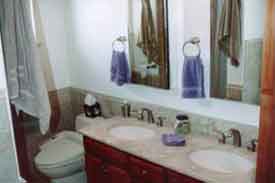 Minor bathroom remodel - West Bloomfield